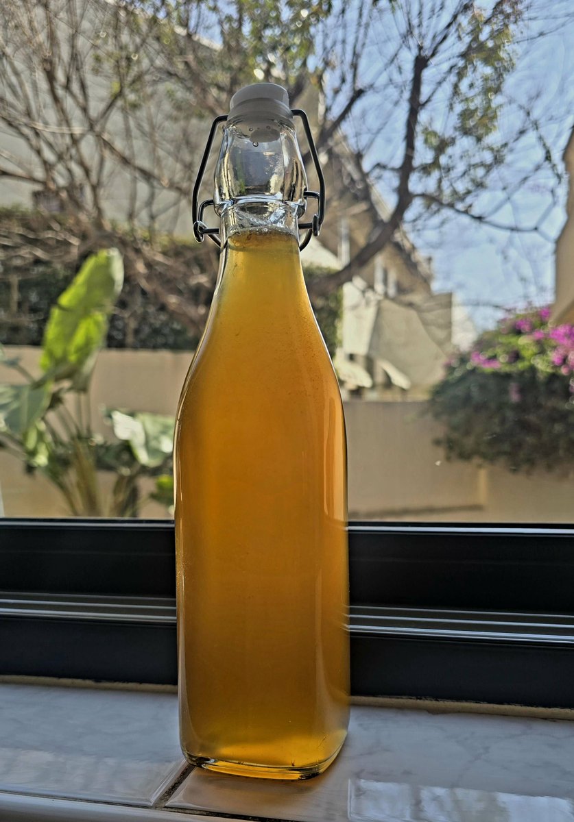 Devi_HQ's tweet photo. #FridayBombshell
My 1st ever bottle of #kumbucha made with my own hands!
Loaded with probiotics, I got a good fizz going after 12 days
#Scoby + recipe donated by @BrookdaleHydro #KZNMidlands - carefully transported in my suitcase after a restorative stay there
#KombuchaKween https://t.co/3fflVjmo5s
