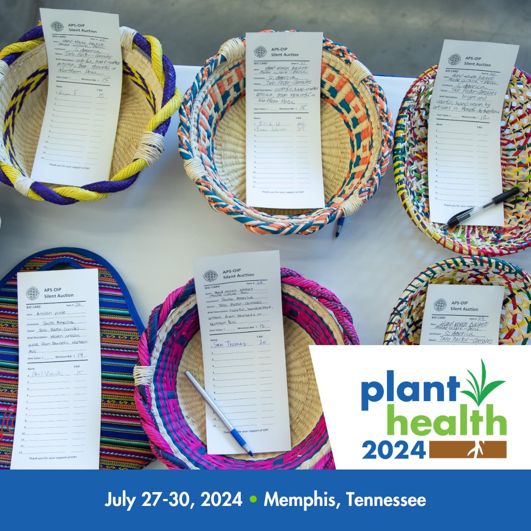 The American Phytopathological Society (@plantdisease) on Twitter photo Don't miss your opportunity to contribute to the #PlantHealth2024 <a href="/APS_OIP/">APS Office of International Programs</a> Silent Auction! Submit your items now to support the next generation of plant pathologists.
Learn more: bit.ly/49CZvCG
#SilentAuction #SupportScience #OIPSilentAuction #GlobalExperience Don't miss your opportunity to contribute to the #PlantHealth2024 <a href="/APS_OIP/">APS Office of International Programs</a> Silent Auction! Submit your items now to support the next generation of plant pathologists.
Learn more: bit.ly/49CZvCG
#SilentAuction #SupportScience #OIPSilentAuction #GlobalExperience