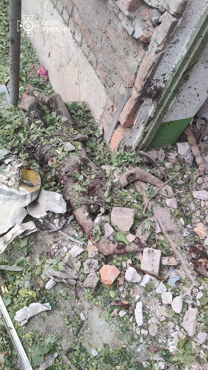 pan_gik's tweet photo. Сьогодні в Миколаєві ракета прилетіла в район, де я раніше жив. 

Влучила в дитячий майданчик у дворі, через який я ходив сотні разів, коли йшов зі школи. 

Десятирічному хлопцю відірвало голову. 

Росія має згоріти. https://t.co/4ApOODJHgK