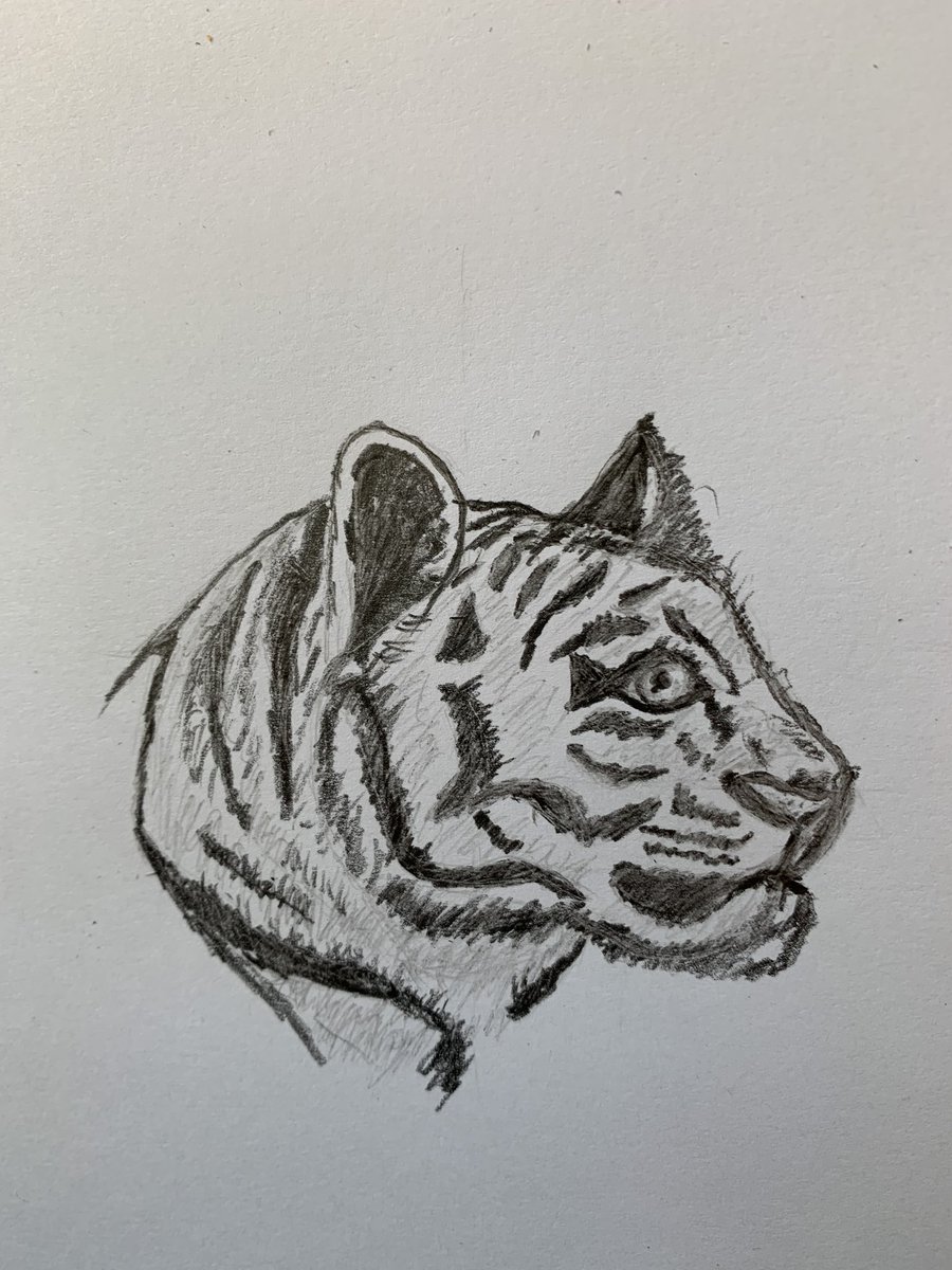 Nick Wood tweet media