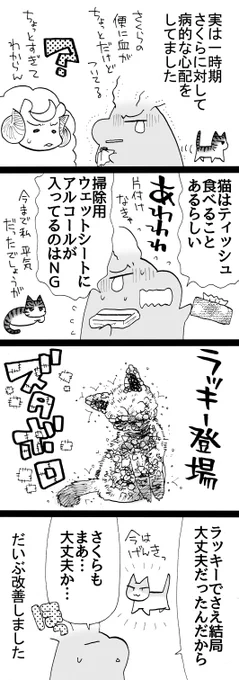 四コマ「その後のラッキー8」  家族にも「なんでそんなに心配するの、さくらのことを信用しなさい」と叱られていました。  #猫 #御かぞくさま御いっこう #四コマ漫画