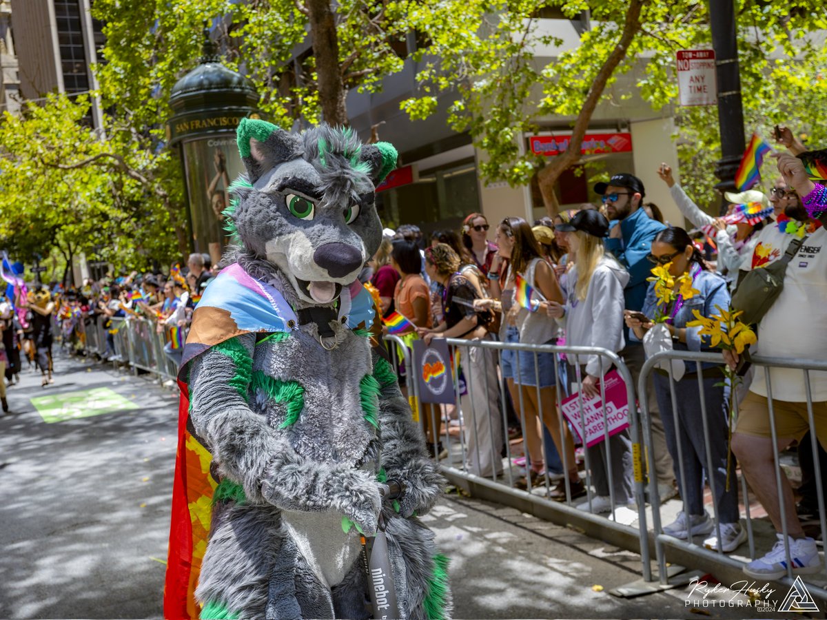 BanditRaccoon1's tweet photo. Always prideful 💚🏳️‍🌈

#SFPride
#FursuitFriday
📸:@RykerHusky https://t.co/wYmjJvNgIH