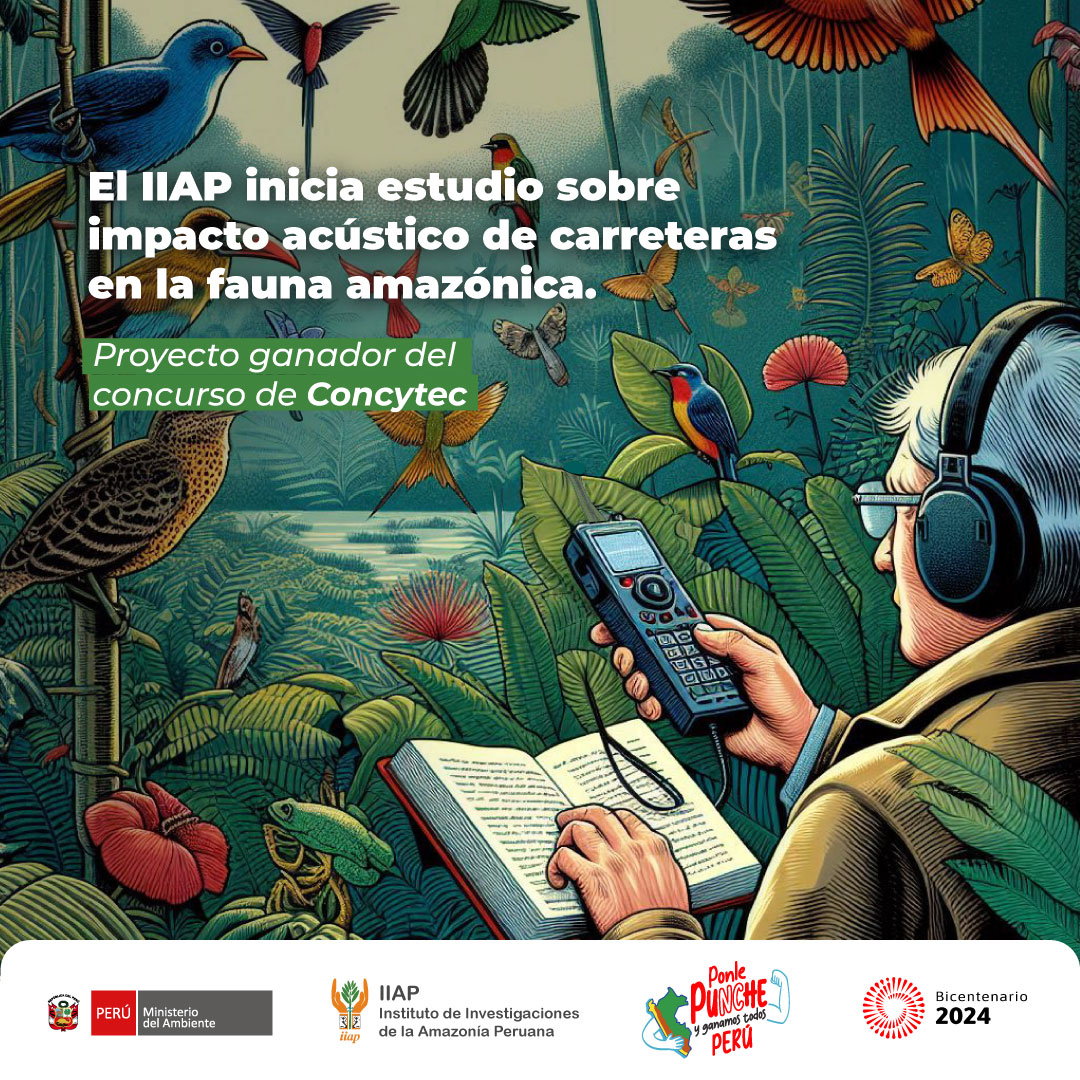 IiapPeru's tweet photo. Instituto de Investigaciones de la Amazonía Peruana (IIAP) inicia estudio sobre el impacto acústico de carreteras en la fauna amazónica #GobPe https://t.co/AhzMTQH92g https://t.co/kr9I5mvJ8X