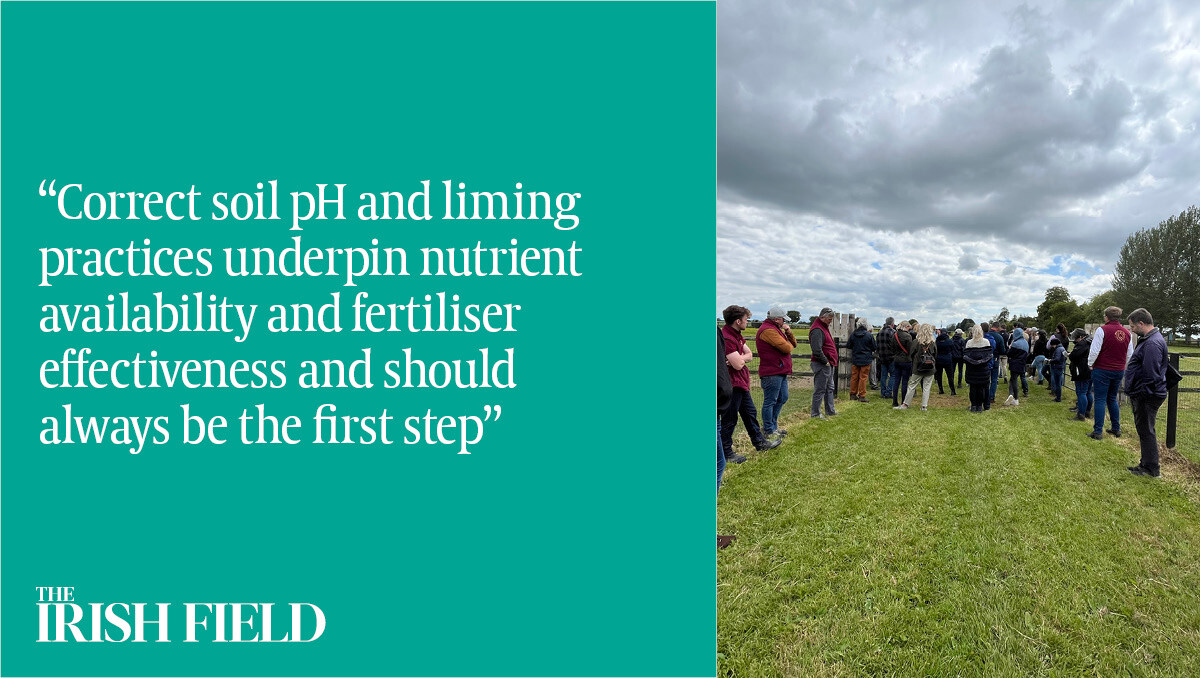 The Irish Field (@theirishfield) on Twitter photo In The Irish Field this weekend, equine expert Wendy Conlon of Teagasc tells Helen Sharp about the recent workshops on how Bert House Stud and Kenilworth House Stud manage their equine pasture
<a href="/BertHouseStud/">BertHouseStud</a> <a href="/EquiIreland/">Helen Sharp</a>
eu1.hubs.ly/H0bhTLJ0 In The Irish Field this weekend, equine expert Wendy Conlon of Teagasc tells Helen Sharp about the recent workshops on how Bert House Stud and Kenilworth House Stud manage their equine pasture
<a href="/BertHouseStud/">BertHouseStud</a> <a href="/EquiIreland/">Helen Sharp</a>
eu1.hubs.ly/H0bhTLJ0