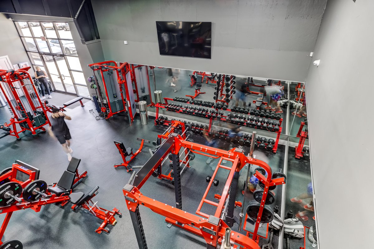 Hammer Strength tweet media