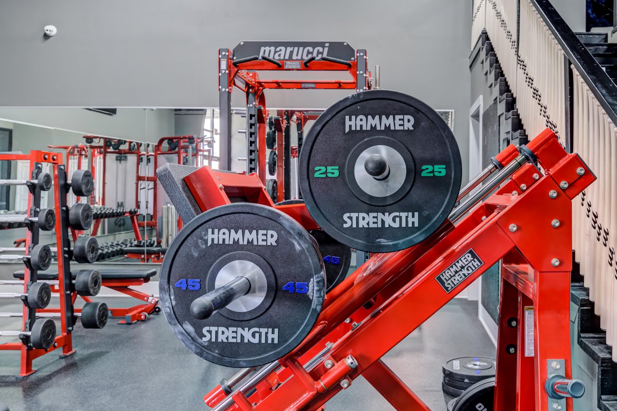 Hammer Strength tweet media