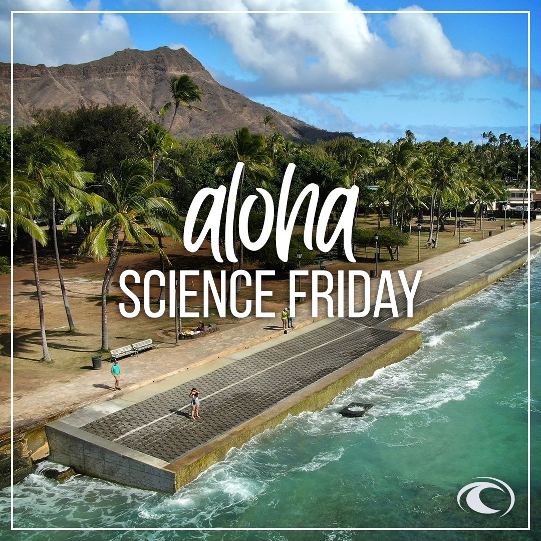 Oceanit's tweet photo. Oceanit's Resilient & Sustainable Engineering (RiSE) team has dedicated hard work assessing and restoring the historic Queen's Beach seawall in Waikiki. #QueensBeach #Waikiki #HistoricPreservation #Hawaii
https://t.co/qpd4GsnB4b https://t.co/dOmYFTxUWo