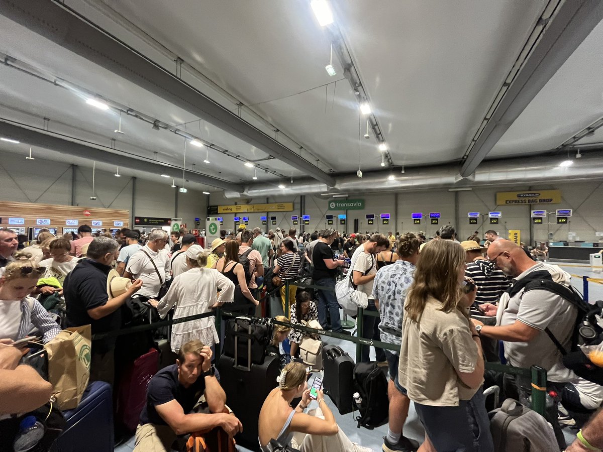 lucia botfield 🌻 tweet media