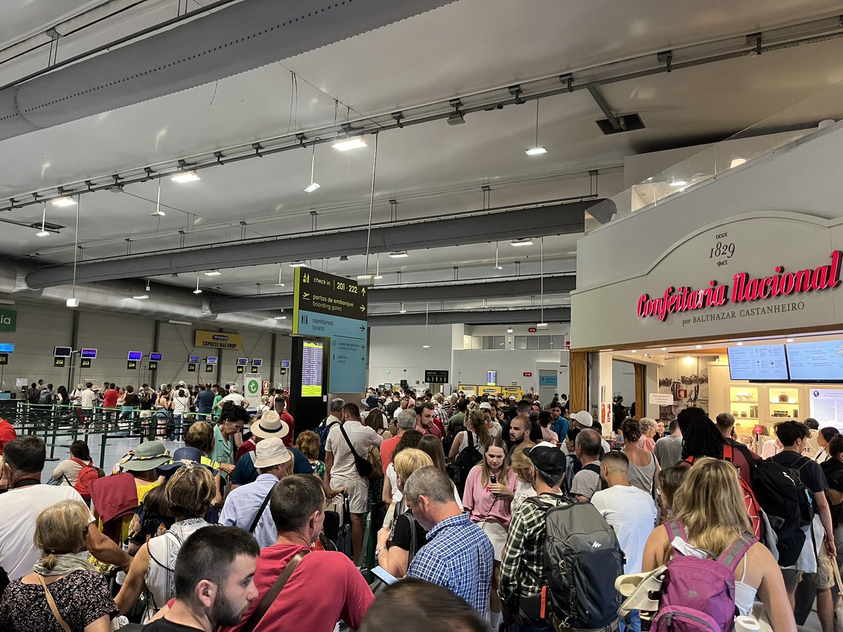 lucia botfield 🌻 tweet media