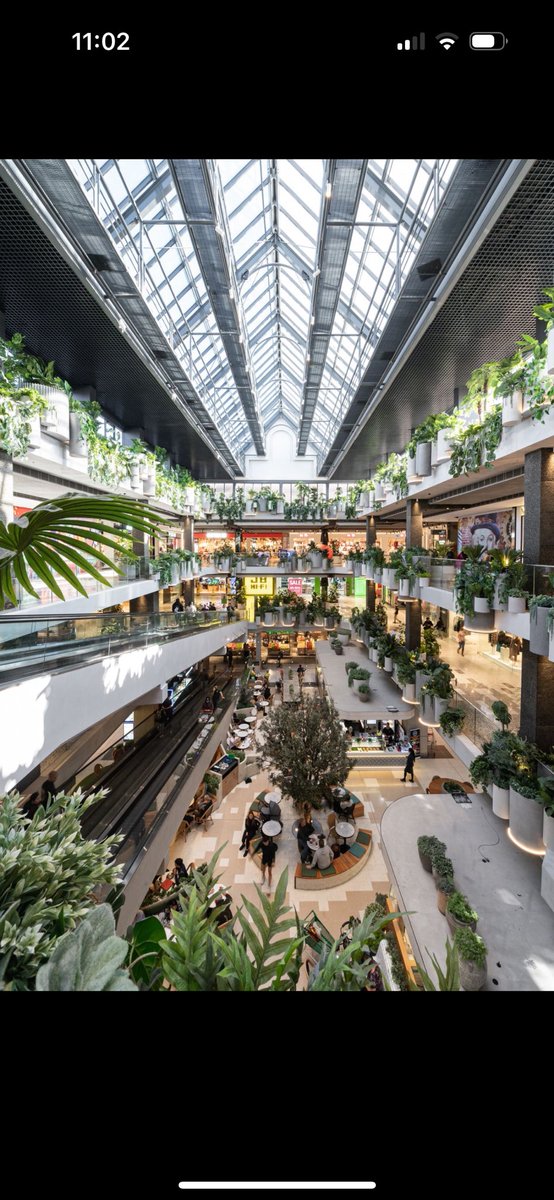 Ben Gallant tweet media