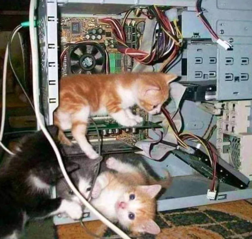 QueretaroAF's tweet image. 🧑🏻‍💻 A Microsoft le dio el telele y el internet lo documenta en memes 🛜 ift.tt/woF7gyD