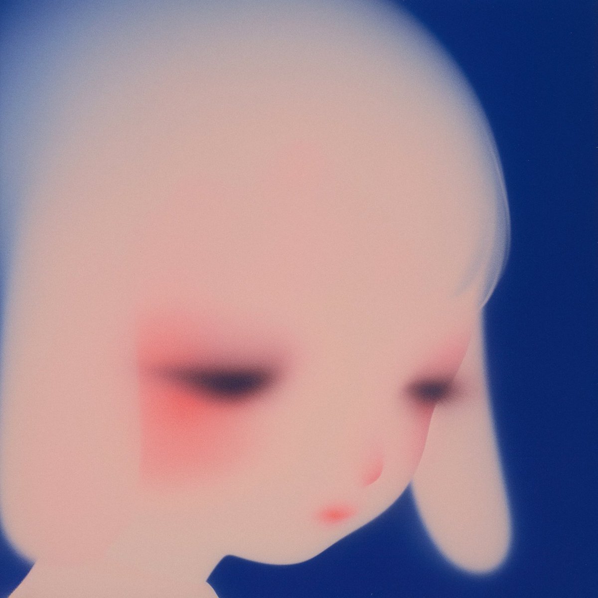 (GALLERY) tweet media