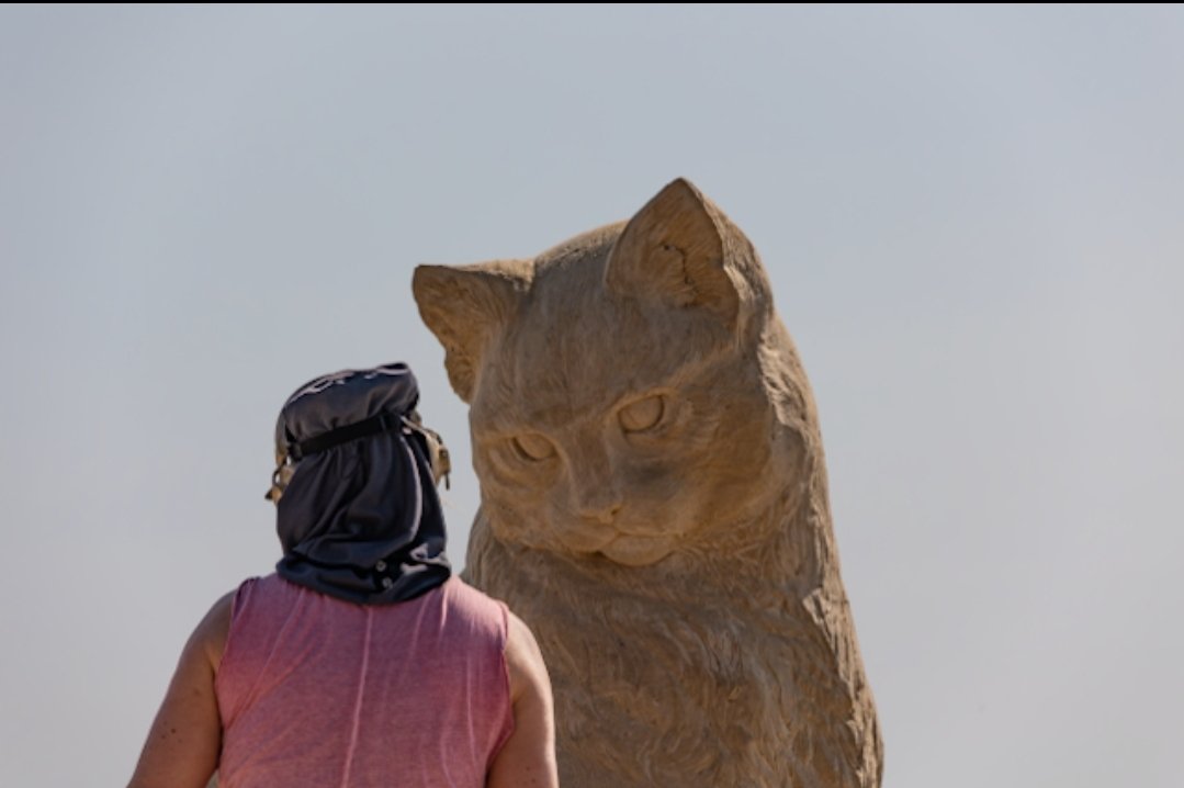 Matt Frank tweet media