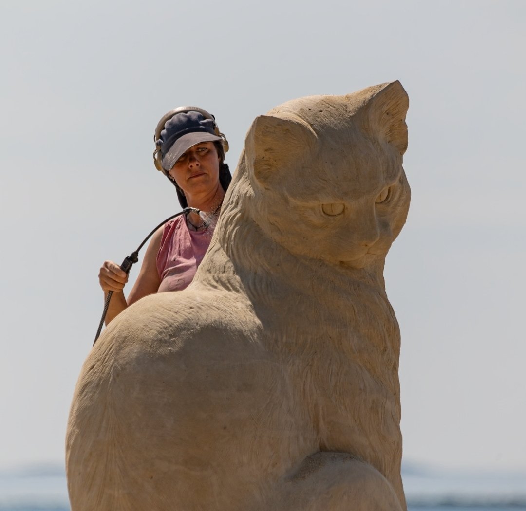 Matt Frank tweet media