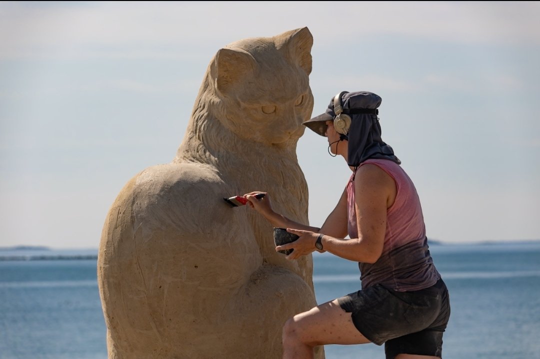 Matt Frank tweet media