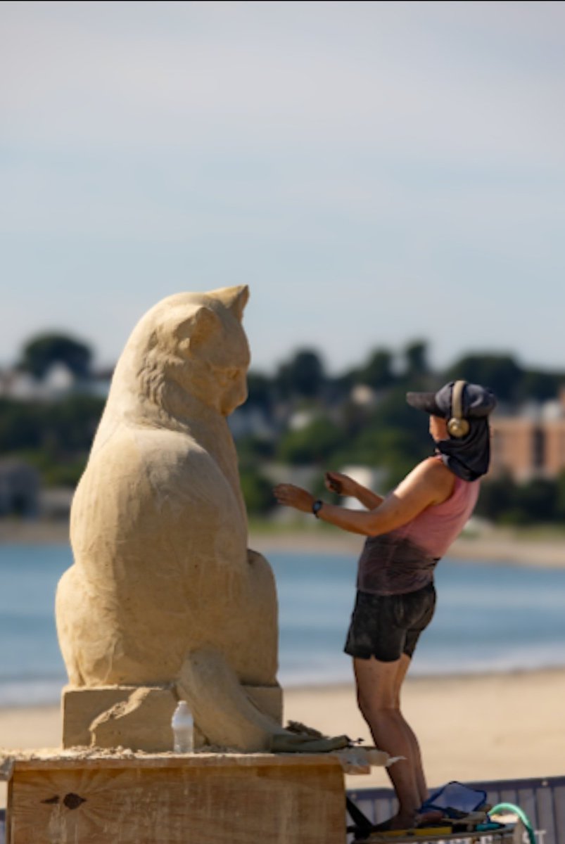 Matt Frank tweet media