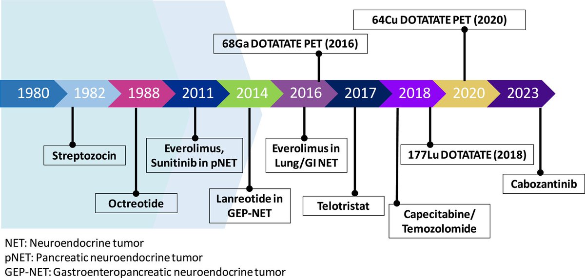 marklewismd's tweet photo. In advance of @CureNETs Know Your NETs virtual conference this weekend, this is a beautiful visualization of the tangible, if non-linear progress in the neuroendocrine field over the years 👇🦓❤️

Conference link: https://t.co/iDQnDNxwTE

Graphic source: https://t.co/7xFV79BynC https://t.co/j5oAhuogDL