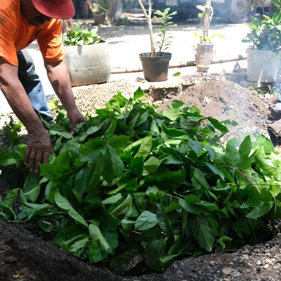 koobenmani's tweet photo. ✨El ritual de la cochinita enterrada✨

La cocinera tradicional Doña Martha en su restaurante Cocina Tradicional del pueblo maya de Maní preparando la cochinita pibil. Su esposo prepara el pib, el horno de tierra. Un sabor único, que actualmente puedes probar en los pueblos. https://t.co/VUapStAF5v