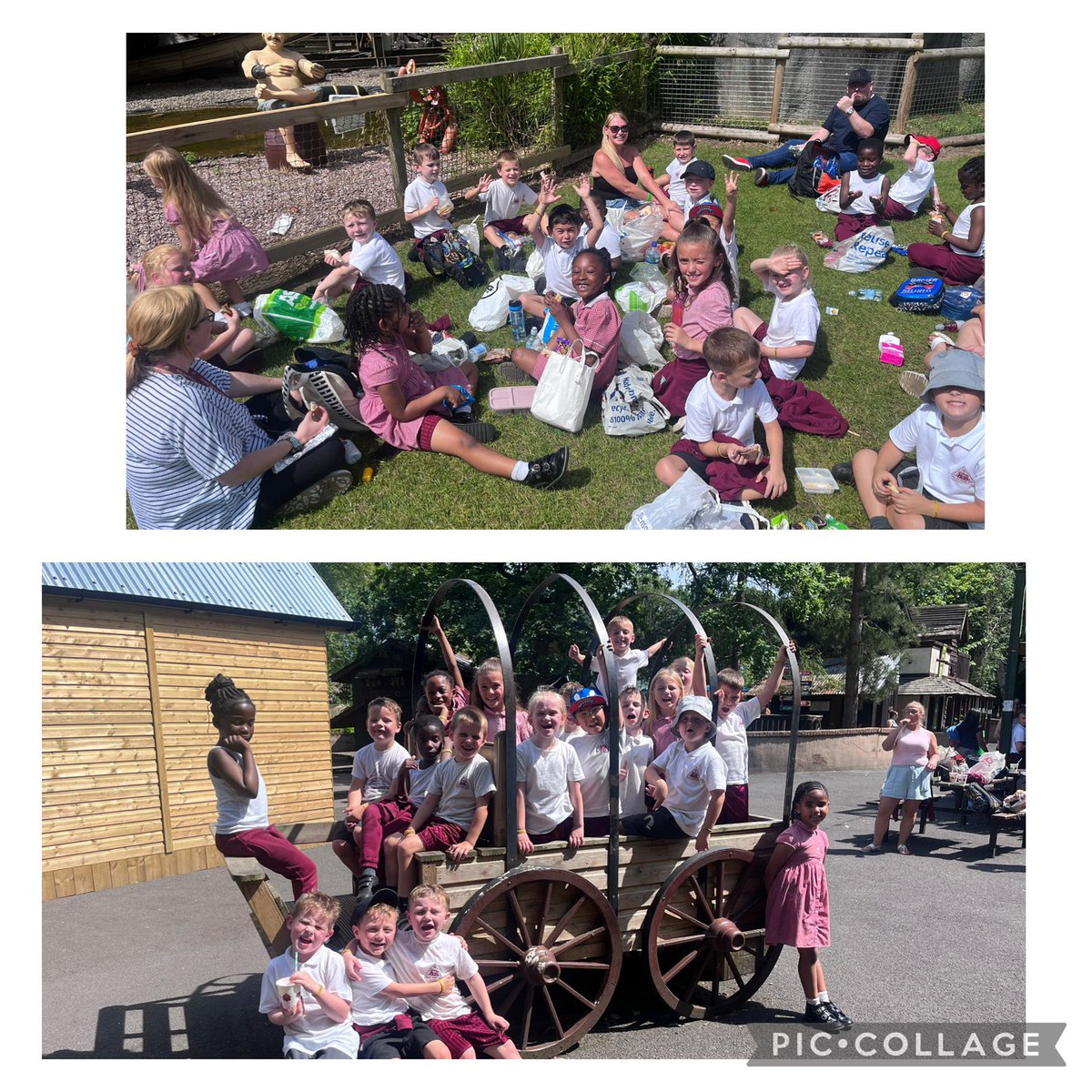 Miss Hopkins tweet media