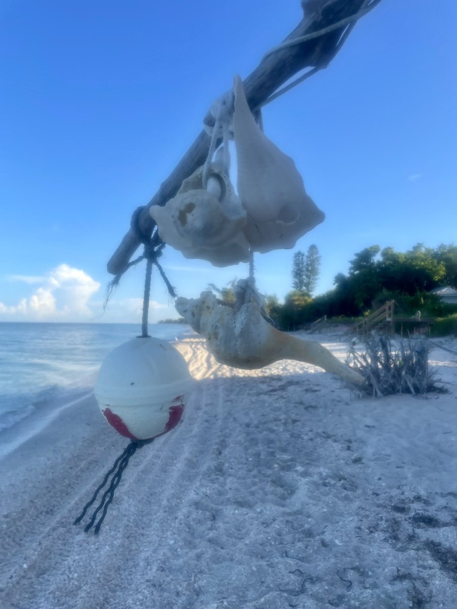 _silvergal's tweet image. What day is it??…Sunrise beach walk, strength training and reading on the beach #radicalselfcare #vacationmodeon😎🌴☀️ #beachlife #motivateyourself