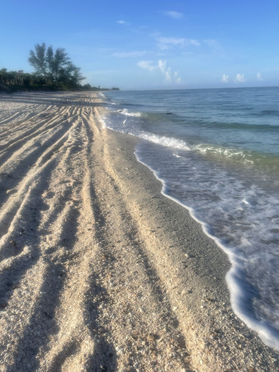 _silvergal's tweet image. What day is it??…Sunrise beach walk, strength training and reading on the beach #radicalselfcare #vacationmodeon😎🌴☀️ #beachlife #motivateyourself