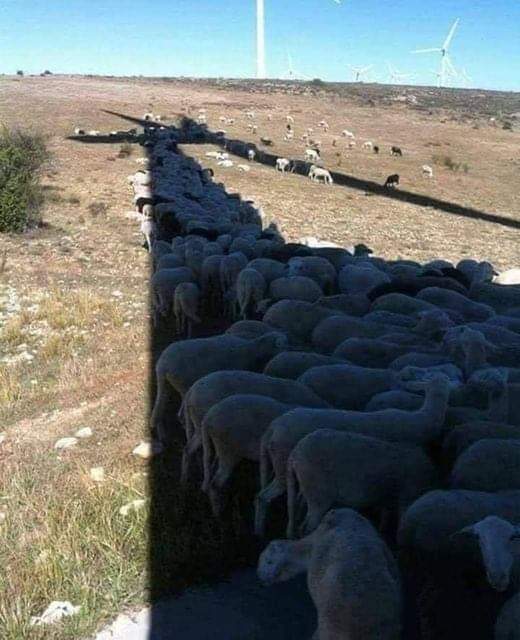 KristieRongen's tweet photo. .@2eKamertweets
Ipv die achterlijke windmolens, moet het eens doordringen dat bomen de belangrijkste koelte geeft aan de aarde.
#JustDigit ๐ณ https://t.co/5sK5ZDIvpx