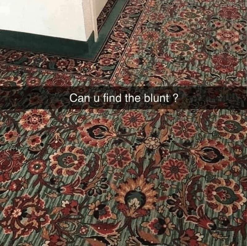 WeedPorns's tweet photo. Can you find it? https://t.co/kG1liXai0z