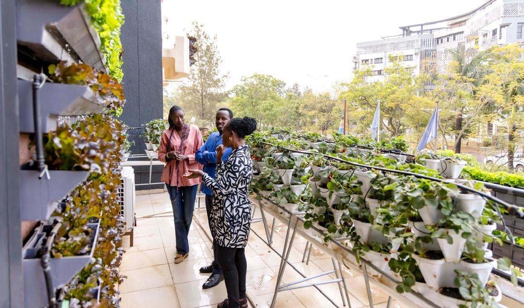 P_Karangwa's tweet photo. Love the vertical farm @FAORwanda building in #Kigali.  Enjoyed harvesting &amp; tasting delicious fresh harvest!
Commendable initiative @CoumbaDSow! This has high potential for outstanding contribution to improved nutrition, increased income and a better environment! https://t.co/YCx8kxB6zT