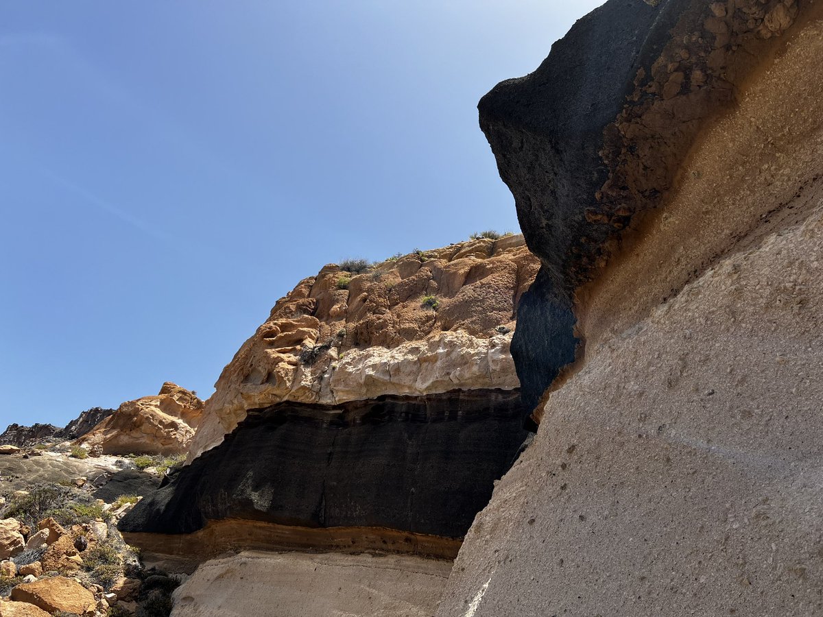 Victoria Smith tweet media