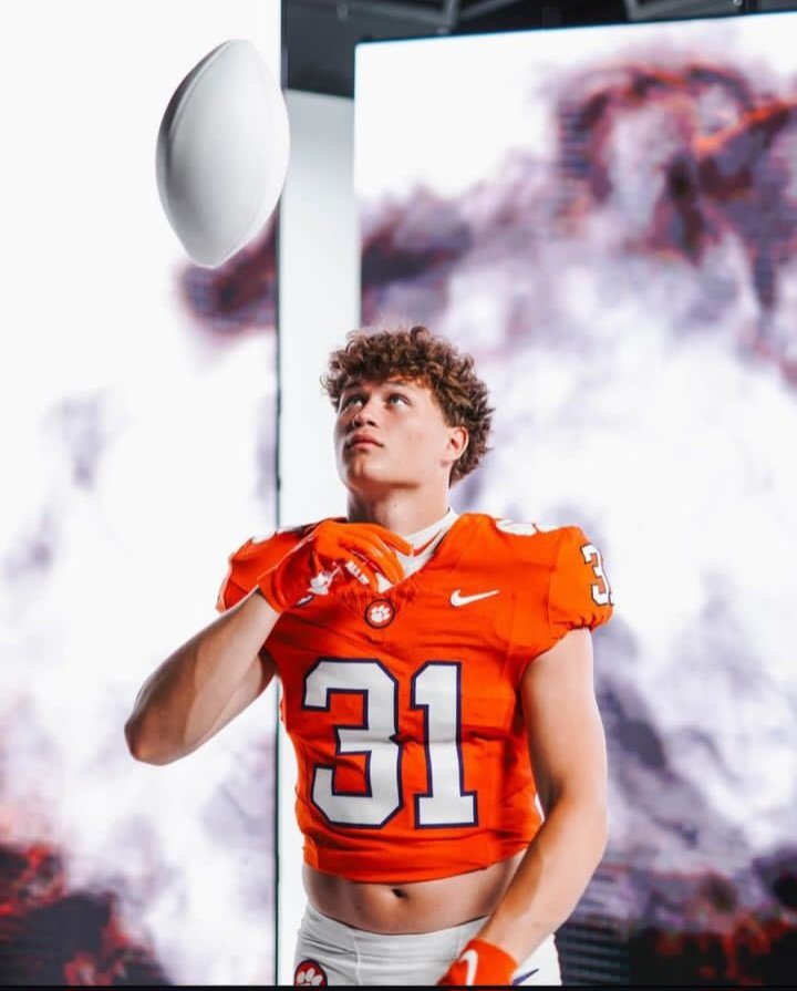 ROME WOLVES 🐺🐾 tweet media