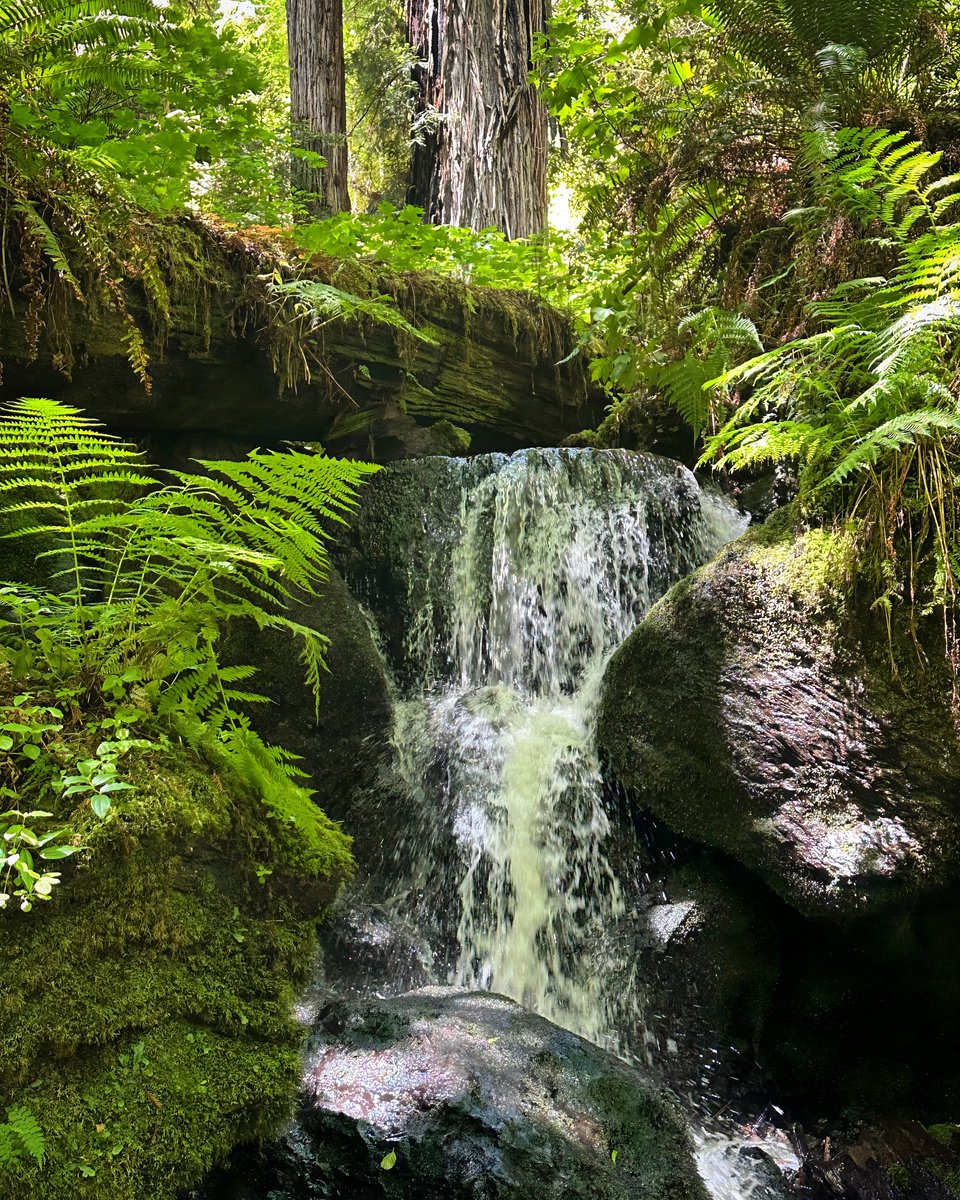 Burble pitter-patter.