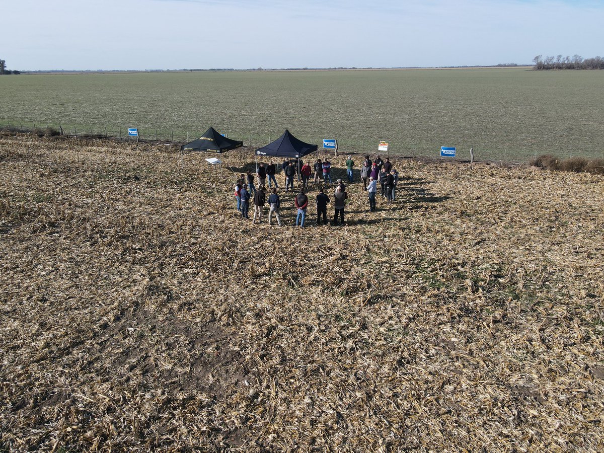 igmansaldo's tweet photo. Bayer day en Macachin 
🌽📲🚀
Pantallazo general por las propuestas de @AgroBayerAR en maíz, crop protection y digitalización.
Gracias @AgronomiaLindon por la organizacion y por hacernos parte.
Gracias @gervavaresini @JuliPiquero y @TorrallardonaG por acercarse a intercambiar!! https://t.co/mEl8s8xq7W