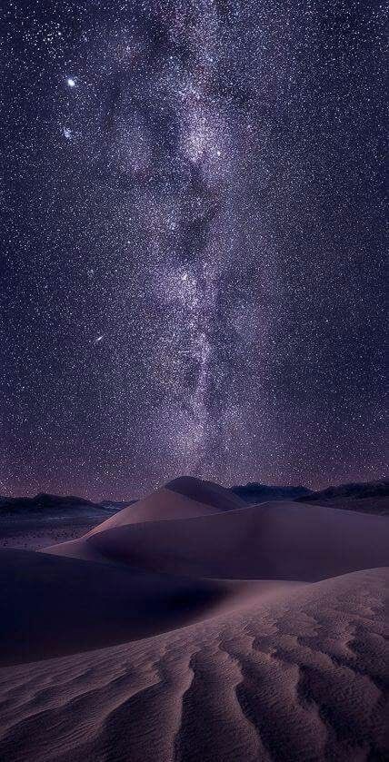 "Under Egypt's star-strewn desert skies, finding peace in the night 🌌🐪 #EgyptianNights #DesertDreaming #StarrySkies #SereneSerenity"