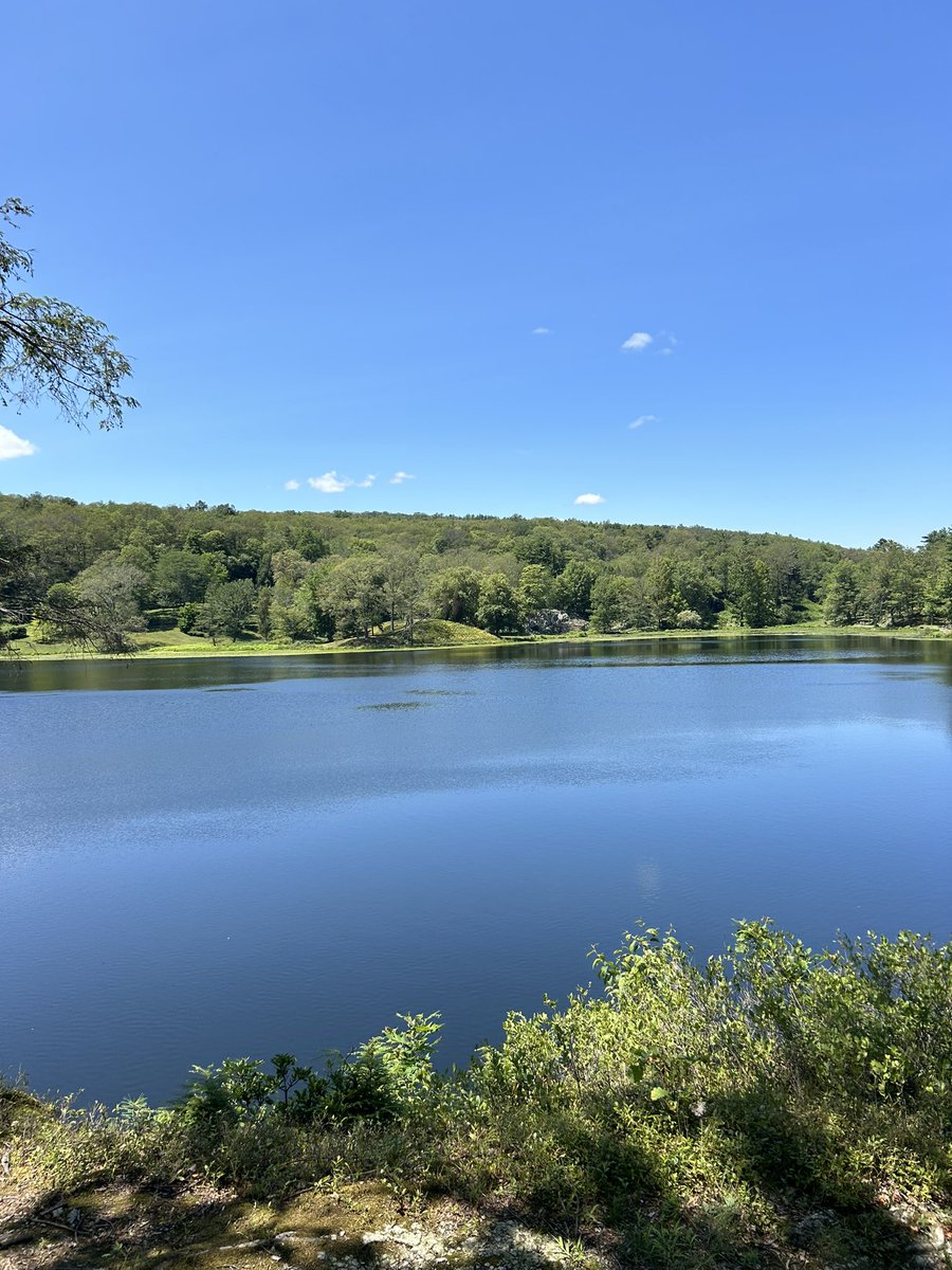 Gary Shteyngart tweet media