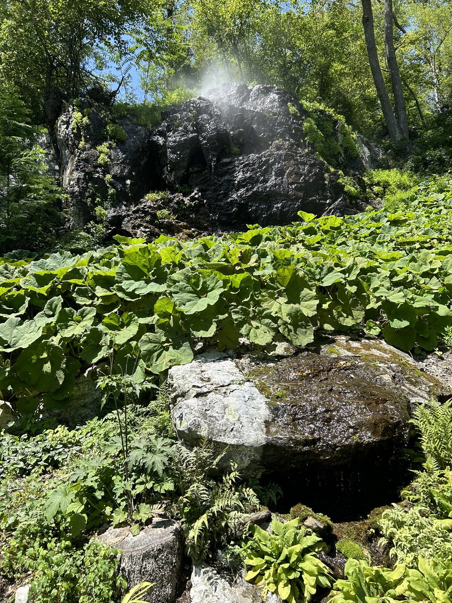 Gary Shteyngart tweet media