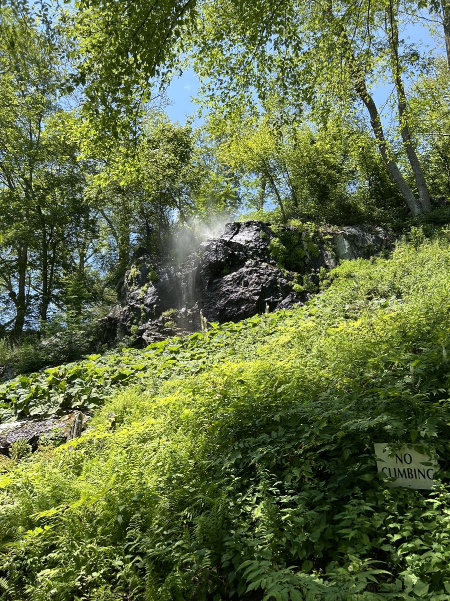 Gary Shteyngart tweet media