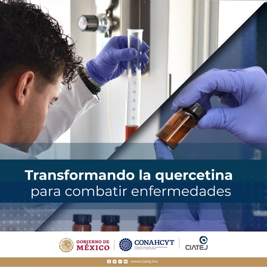 CIATEJ's tweet photo. #CIATEJ coordina un proyecto donde utilizando enzimas, está mejorando la quercetina, un poderoso flavonoide presente en frutas y verduras 🍎🥦, para potenciar sus beneficios contra el #cáncer💪💖
#Enterate 👉 https://t.co/QENCF1rwGr
#Biodisponibilidad #Enzimas #Flavonoides https://t.co/lVypOZgtoE