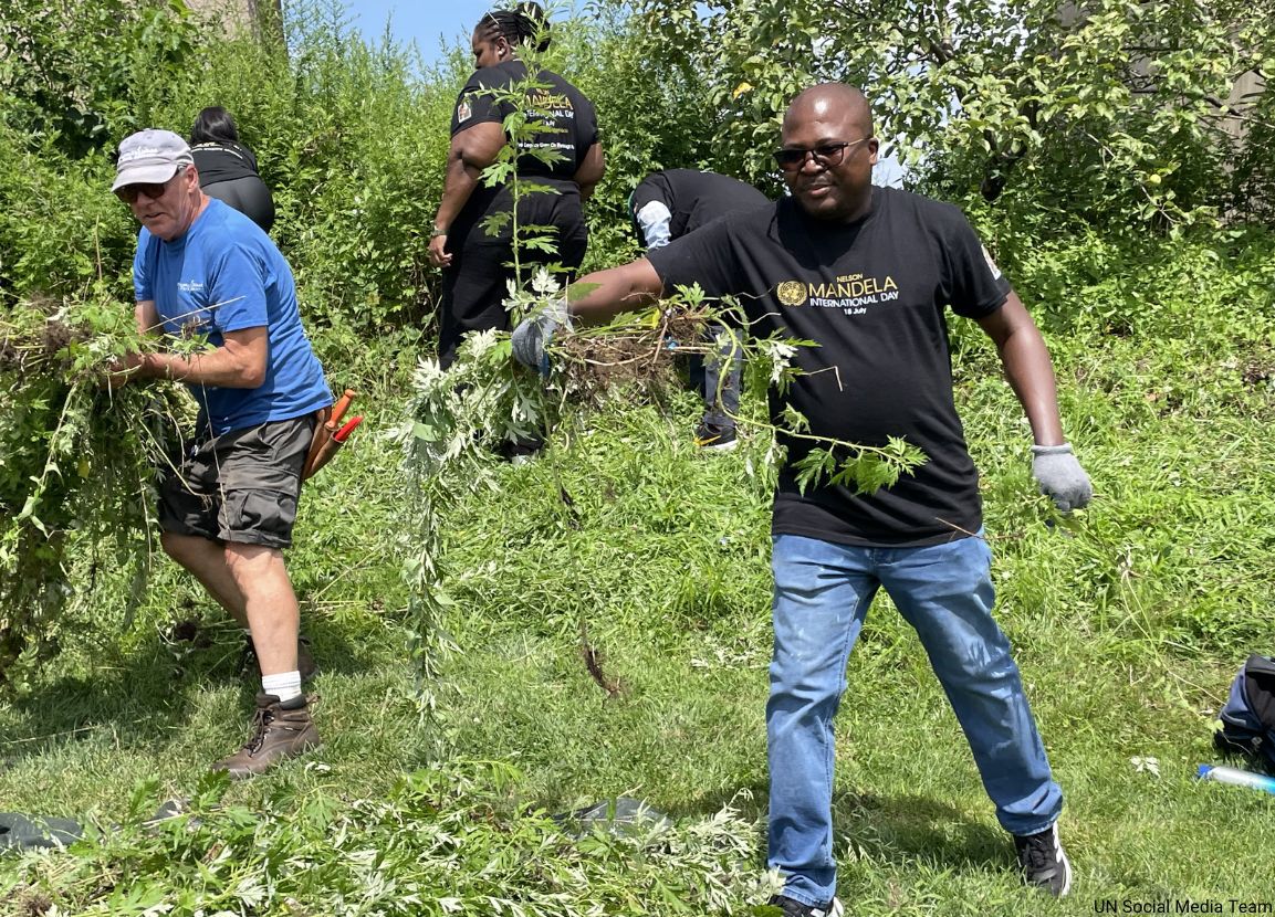 UN's tweet photo. 📸: To mark this week's #MandelaDay, UN colleagues in NYC volunteered in community projects including removing invasive plants &amp; introducing new native species.

Every year, people are inspired to take action in their communities in honour of the life &amp; legacy of Nelson Mandela. https://t.co/qXC61mYpFS