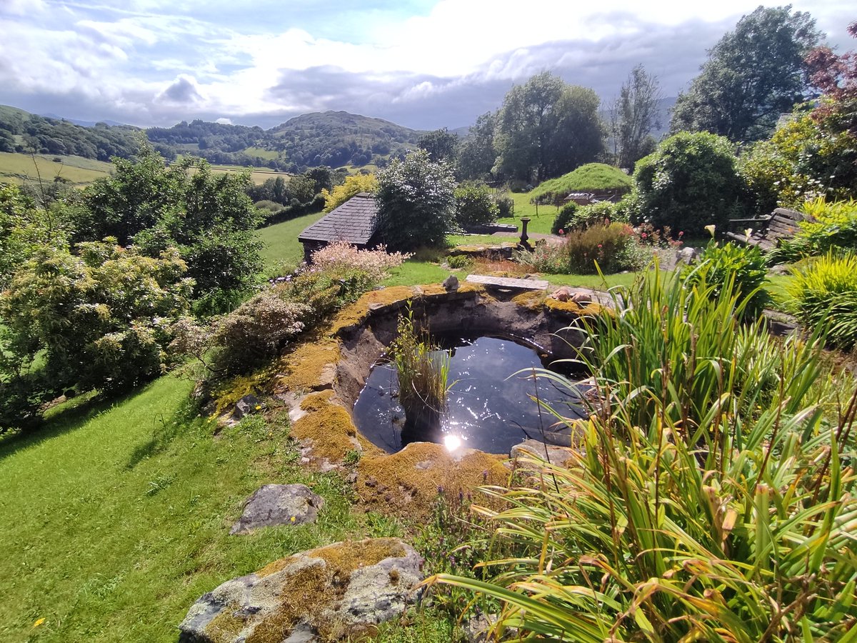 My view right now. 🥰 #NorthWales