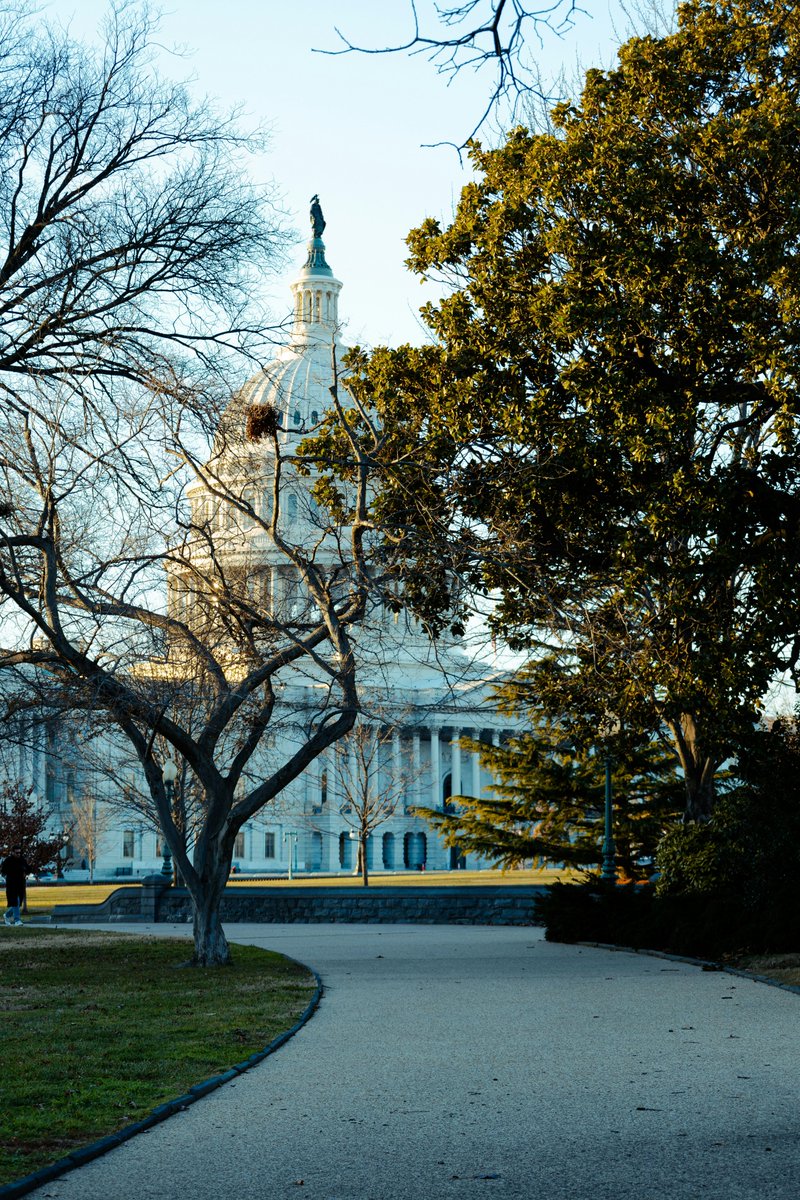 NicolasMoes's tweet photo. @thefuturesoc is looking for an experienced policy maker to become our U.S. #AIGovernance Director in D.C. ISO someone with a strong network, knowledge of the U.S. ecosystem, &amp; a proven ability to find constructive compromises across diverse stakeholders. https://t.co/d3AJ2SlzIn https://t.co/MXgNhrmTwl