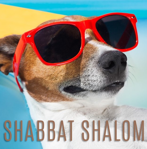 🌞Shabbat Shalom! Have a wonderful weekend!  Har Zion is PROUD to be warm, welcoming, and diverse! #shabbatshalom #jewishtoronto #reformjudaism #loveandkindness #ourshuliscool #itswhereyoubelong #WeStandWithIsrael #BringThemHomeNow ❤️🧡💛💚💙💜🤎🖤