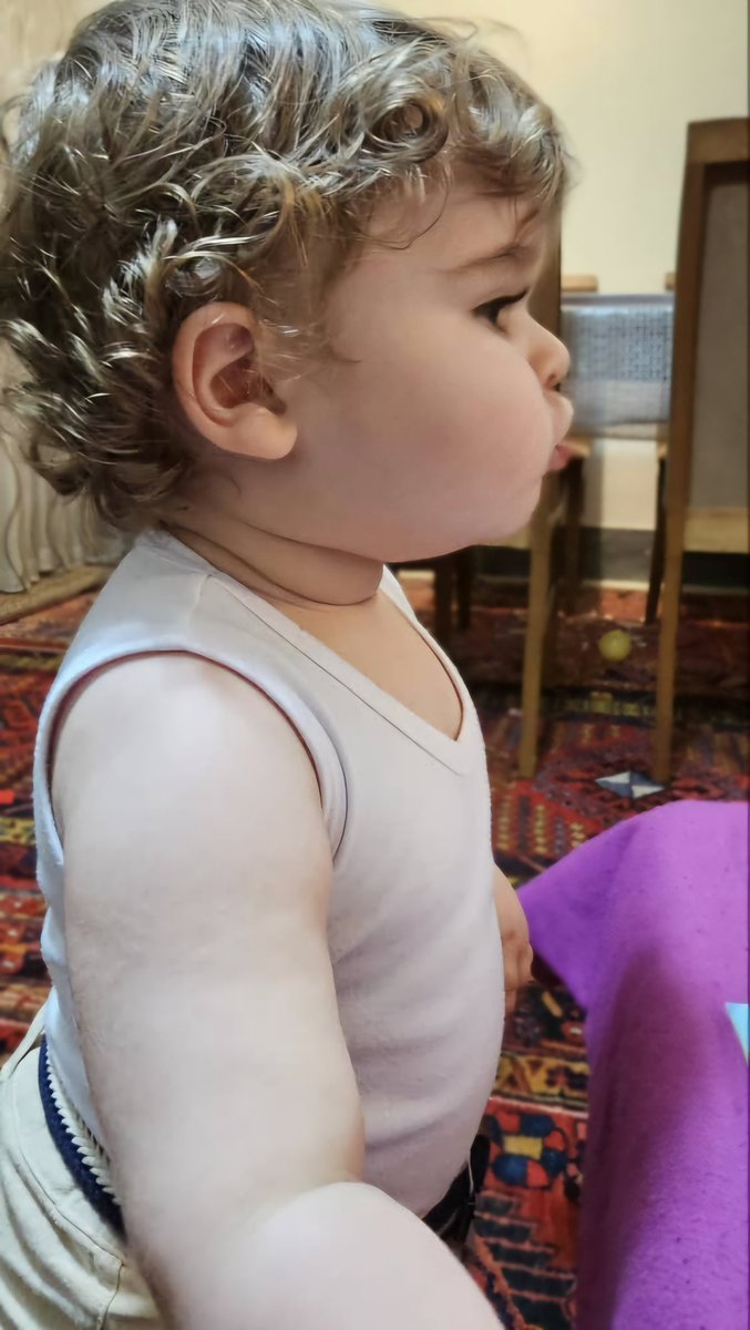 Mehdi Talebi (@mehdi_talebi) on Twitter photo 