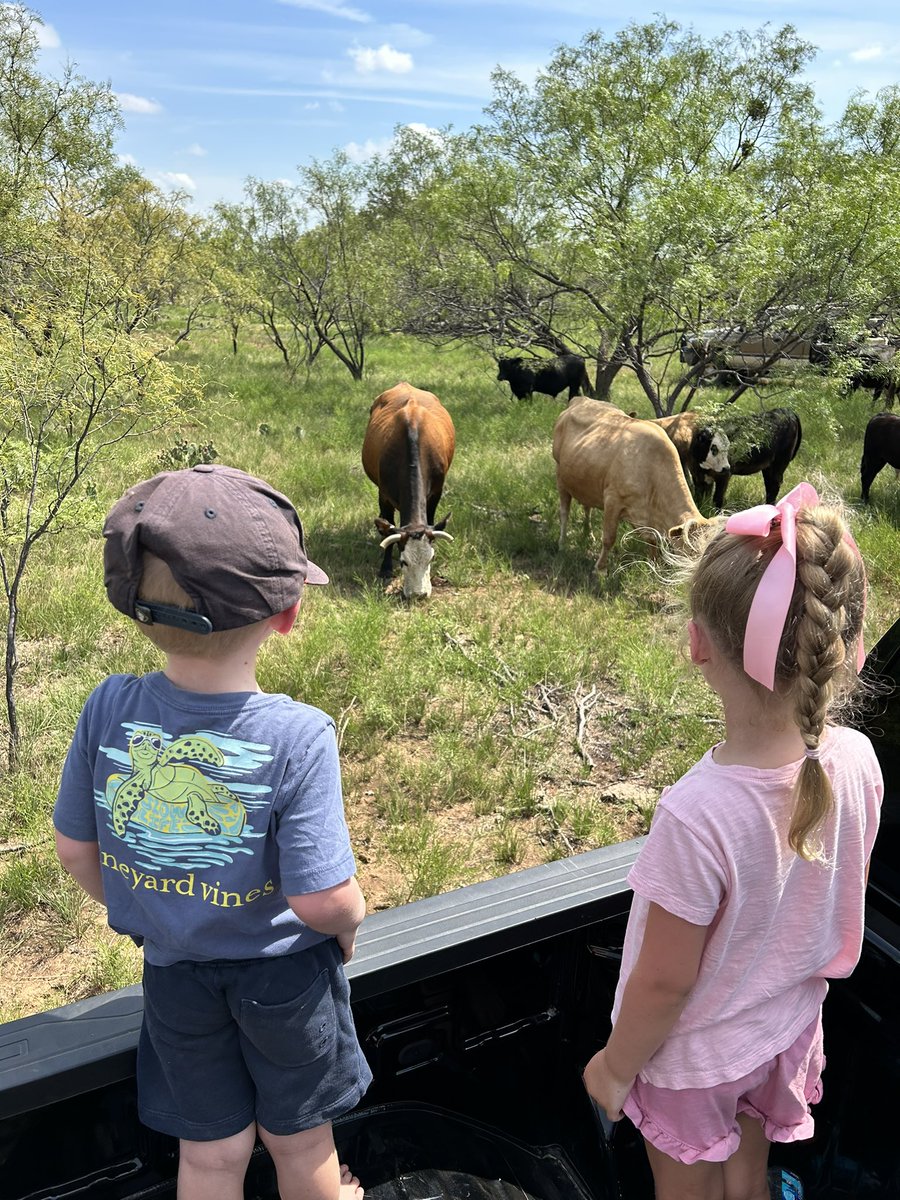 EvanAutry's tweet photo. Timeline cleanse 🐮 #colemantx https://t.co/ofJYTebRuT