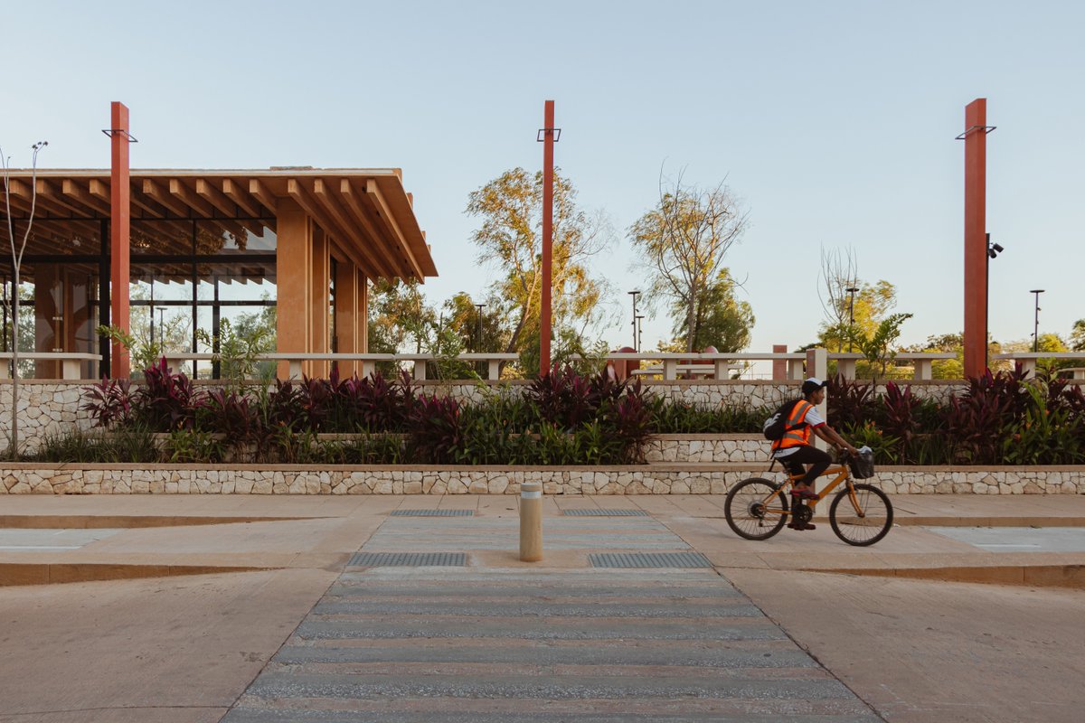 Román Meyer Falcón tweet media