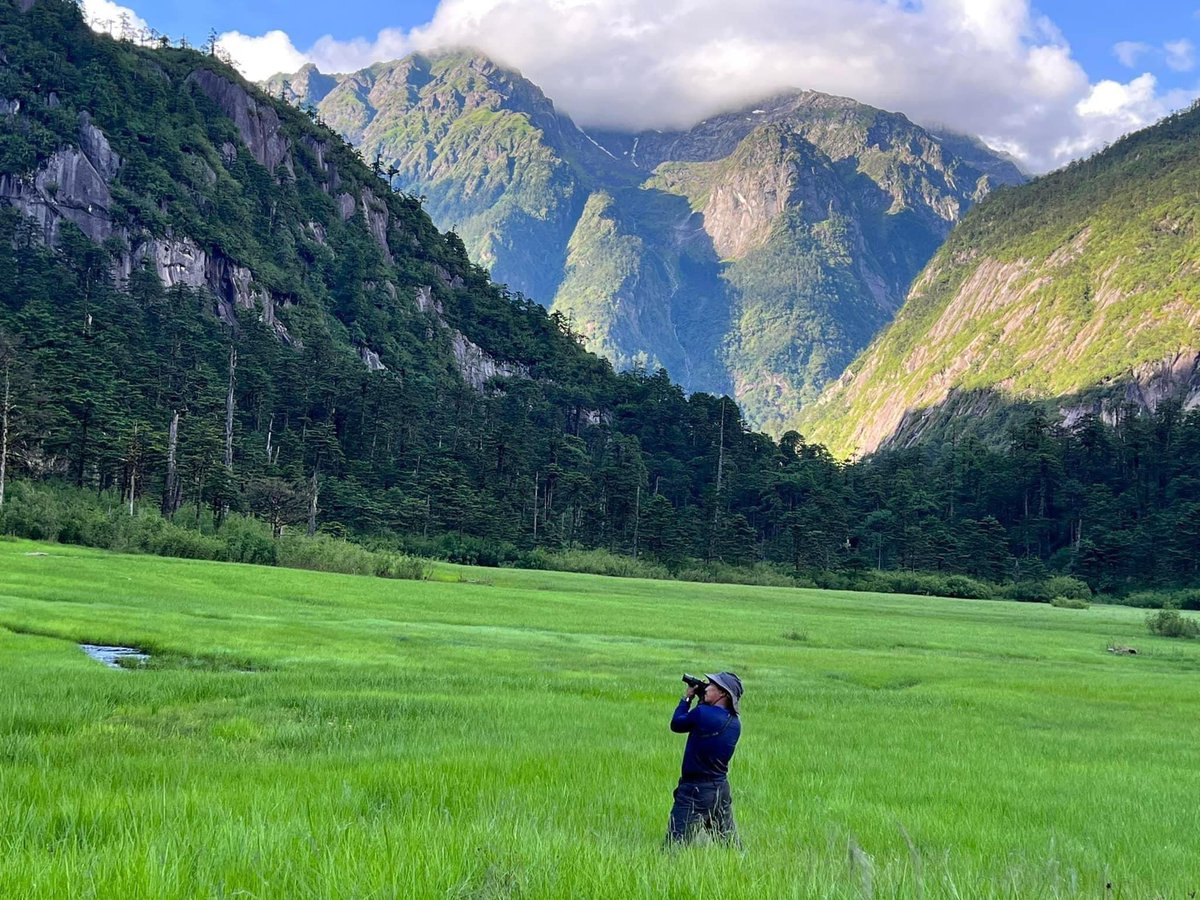 ApedaRondo's tweet photo. Tired of sweltering heat? Visit a slice of paradise ~ Jaru Valley in Dibang Valley district.

Green carpet, amazing snow-capped mountains and majestic water falls are ready to welcome you.

#AmazingArunachal beckons you. Please do come. https://t.co/S8KIcKOKDS