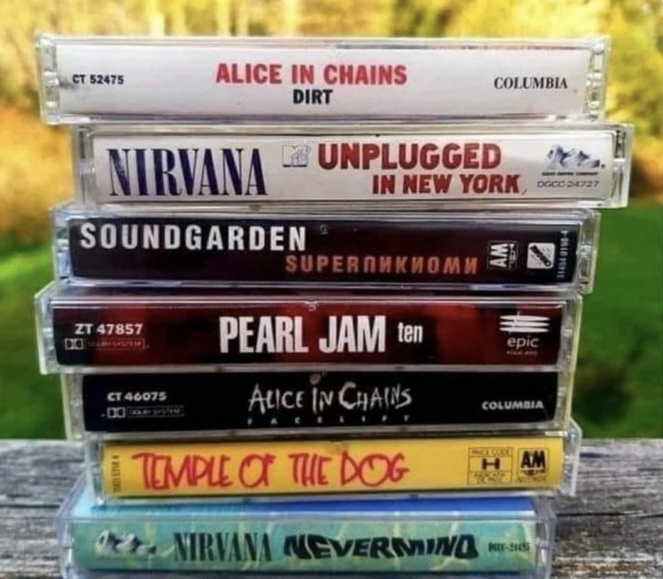 Daniela Yáñez tweet media