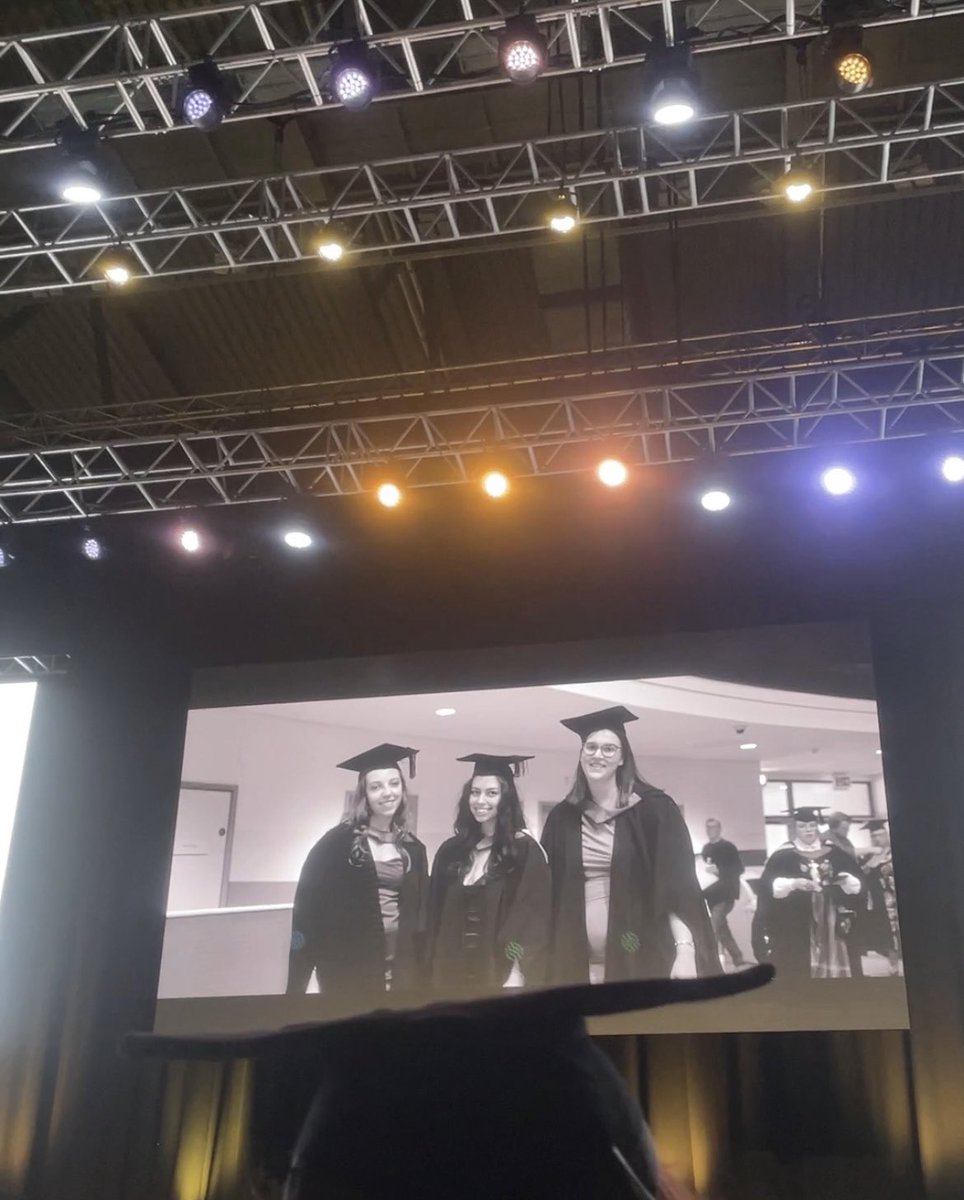 Molly Young tweet media