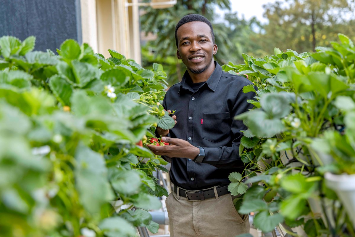 jcniyomugabo's tweet photo. This is a great initiative!

Urban farming emerges as a sustainable solution for food #production by championing local food security, mitigating environmental impact, and fostering #community involvement.

Let's continue to champion more innovations in #agriculture.

@FAORwanda @EzaNezaRwanda @CoumbaDSow.