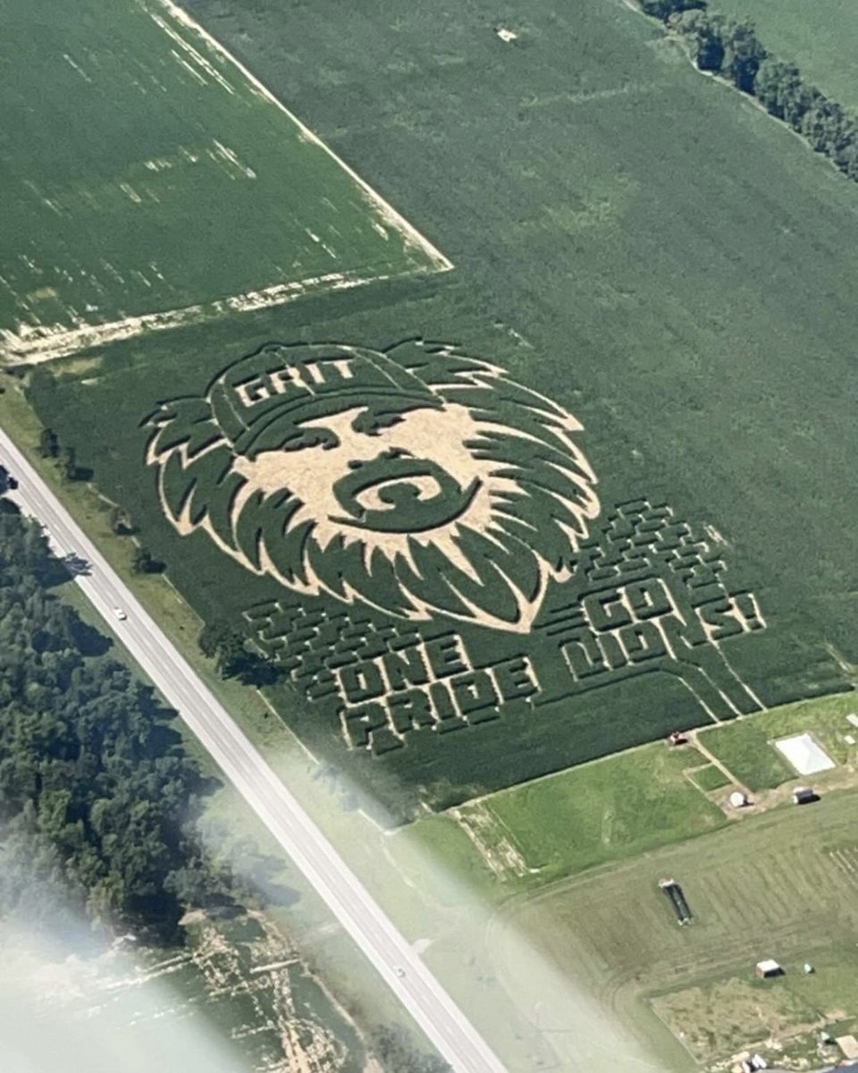 BradGalli's tweet photo. Dan Campbell as a lion in a corn field: that’s what is on display in Bestmaze Corn Maze in Williamston, MI

Photo: @schingeck21 https://t.co/7FEPaSCIxR
