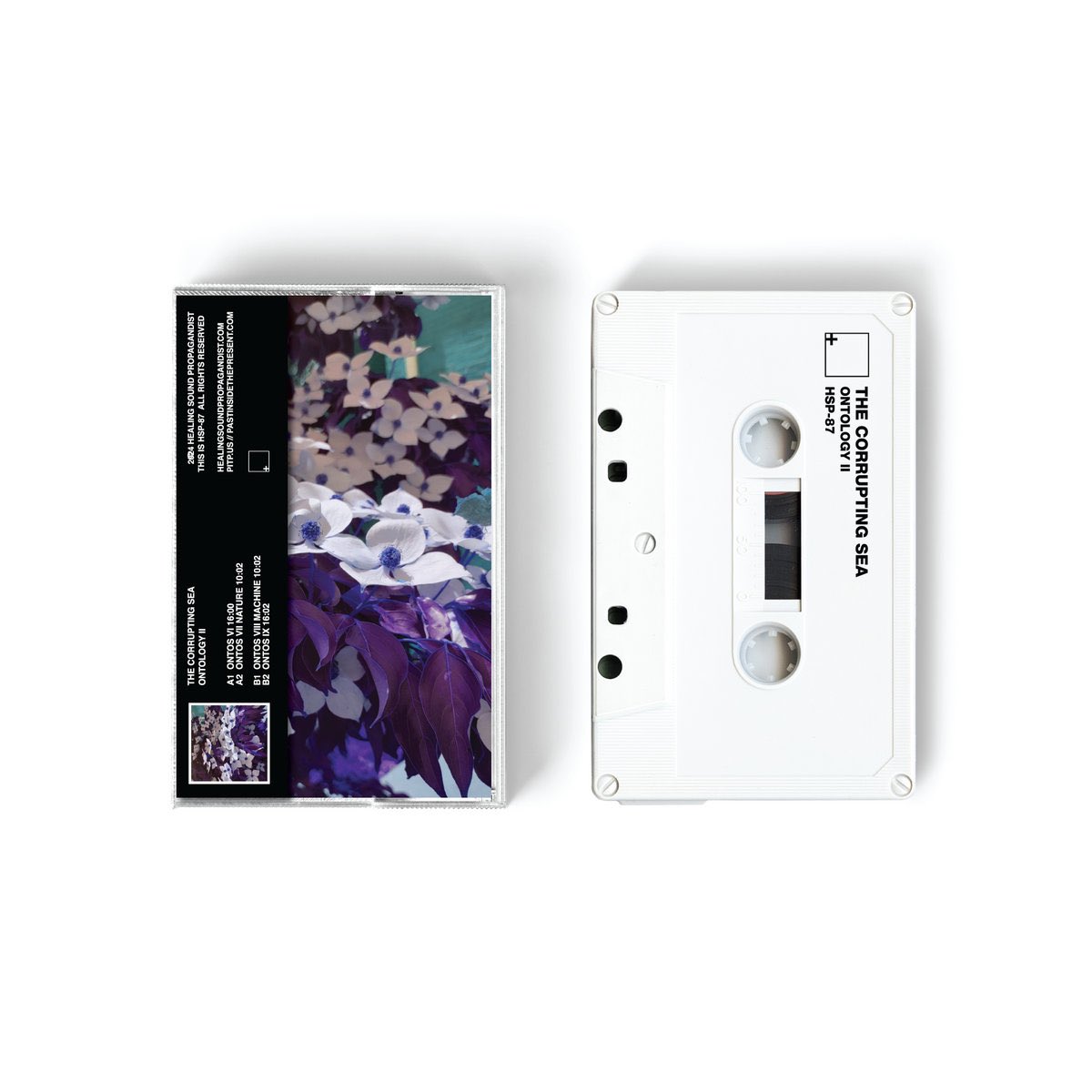 Healing Sound Propagandist tweet media